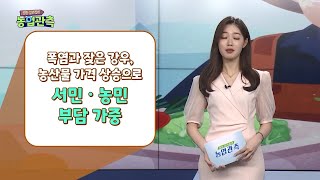 [영농길라잡이 농업관측] 2022년 8월 양념채소