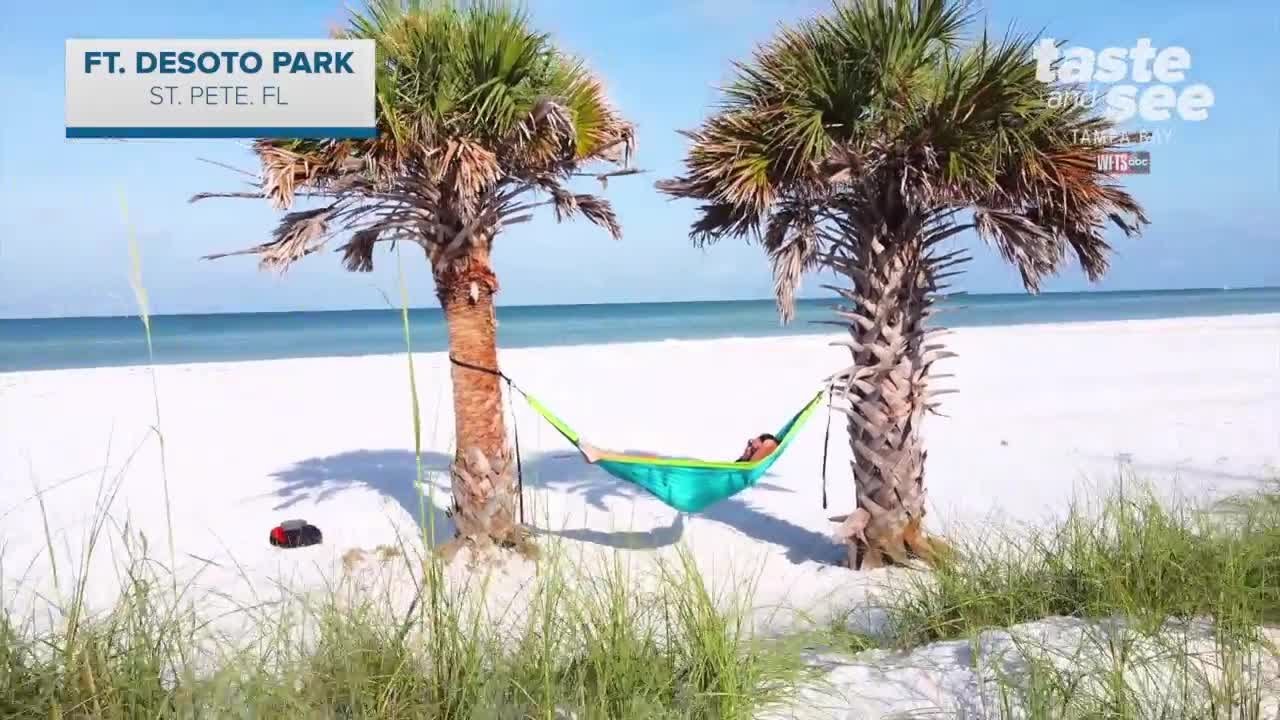 Take a Ferry to Shell Key & Egmont Key