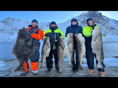 Fishing and Spearfishing for Skrei Cods in Northern Norway