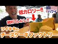 【コレ1択】高カロリーのチーズケーキファクトリーでの筋肉流のメニューの選び方です。