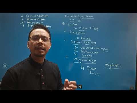 CEE 2081 MEMORY BASED QUESTIONS; Part :26 (UNIT: ECOLOGY AND ENVIRONMENT)