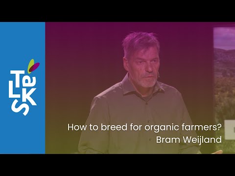 Video poster: How to breed for organic farmers?