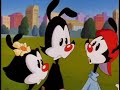 Animaniacs Wheel Of Morality 2