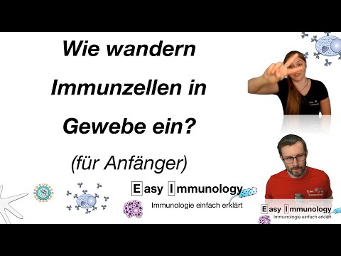 Season 7: Entzündungen - Wie wandern Immunzellen in Gewebe ein (für Anfänger)