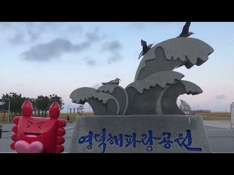 [유튜브 서포터즈] 영덕 강구항 해파랑공원