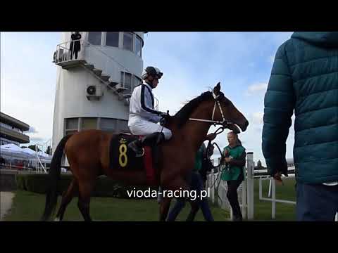 Gon. VI - 5.05.2019 - Mohanned Al Khalediah (Mahabb - Rayat Al   Khalidiah)