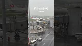 いつか乗ってみたいと思いつつ、未だチャンスに恵まれず