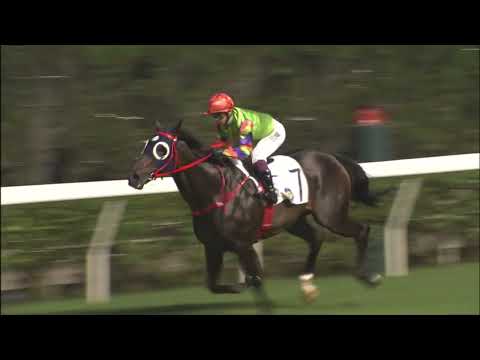 6/7/2022 (799) Hyperion Tree - A Badel