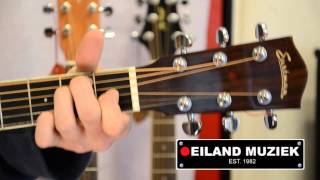 Video thumbnail for Eastman AC 320CE by Eiland Muziek