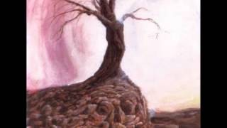 Trouble - Victim of the Insane