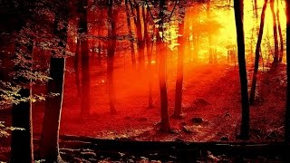 VIVALDI "The Four Seasons" -  Autumn