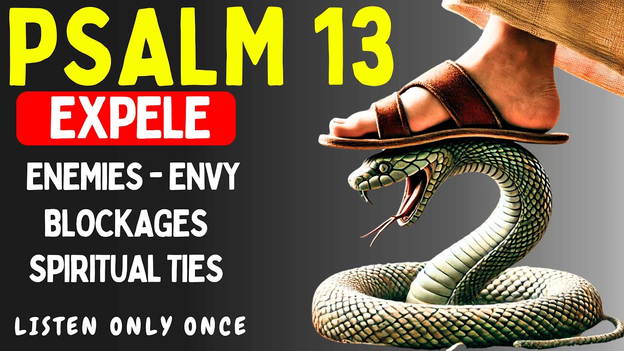 Psalm 13: A Prayer for URGENT HELP and HOPE!!