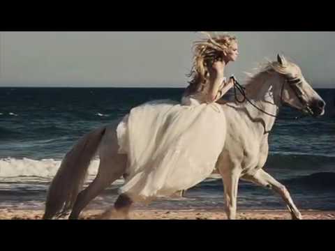 Ocean View - Centro Hípico de Búzios