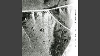 Echoes of light – A slip of darkness – The passage