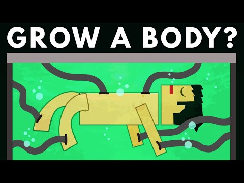 長生不老有可能？！如果你能為自己培養一個新的身體會怎樣？ (What If You Could Grow Yourself a New Body?)