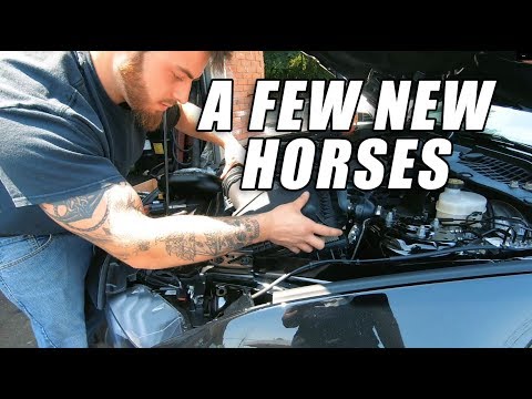 Installed a K&N Blackhawk Cold Air Intake in my 2019 Mustang GT