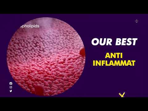 Streamline herbal ayurvedic health supplements tablets, grad...