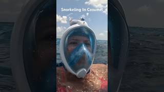I Went Snorkeling With Sea Turtles in Cozumel (Mexico)