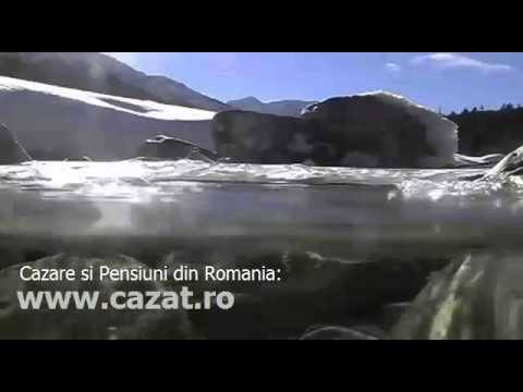 Cazare Nadas, Arad - Cazat.ro