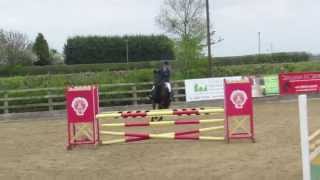 Stormhill Sun Bean Jump off 95 cm Kingswood BS show