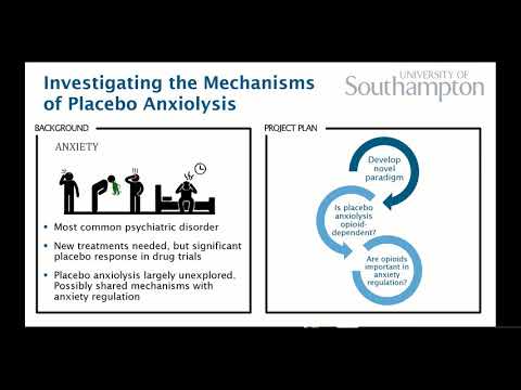 3-minute thesis presentation:  Dr Nathan Huneke, University of Southampton