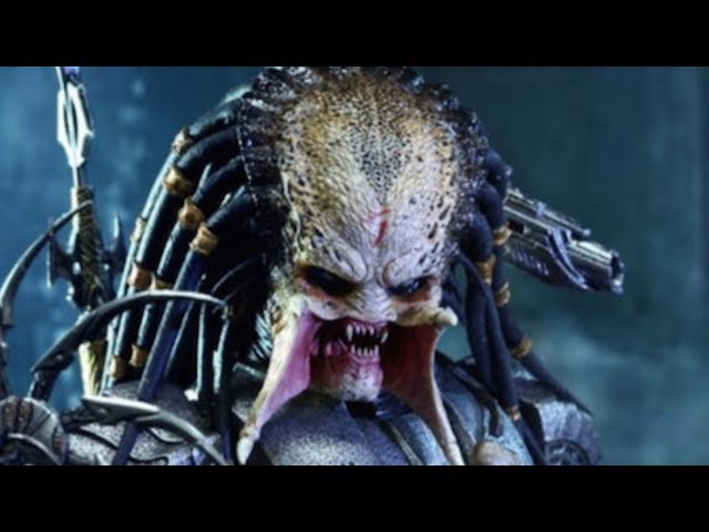 Vidéo Prononciation de predator en Anglais