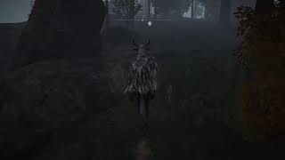 霜踏みがつよすぎる