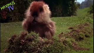 Mr Gopher Caddyshack And Earth, Wind &amp; Fire - Turn On