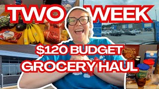 Vlog #398| Two week $120 budget grocery haul! ALDI, Food City, and Wal-Mart Haul with prices!