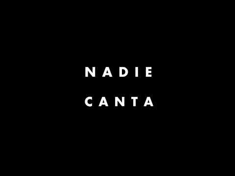 Nadie Canta - El Hipervínculo Perfecto (Audio)