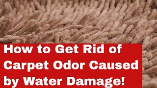 Master the Art of Deodorizing: How to Get Rid of Carpet Odor from Water Damage!