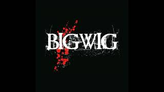 Bigwig - Sink or Swim (No 6 String Electric Guitar)