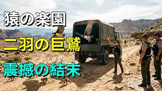 サルが支配する島に2羽のオウギワシを放鳥…その驚愕の結末に世界が息をのんだ！#オウギワシ #動物の生態 #生態系 #自然の摂理