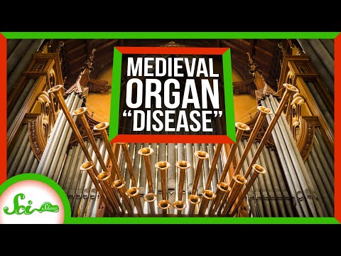 The "Disease" That Struck Medieval Church Organs