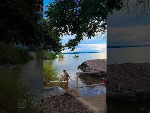 jurema em São João do araguaia