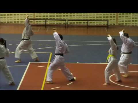 Clips from 29 Aug at Chinese Wado Seminar 2016 @ Chiang Mai University