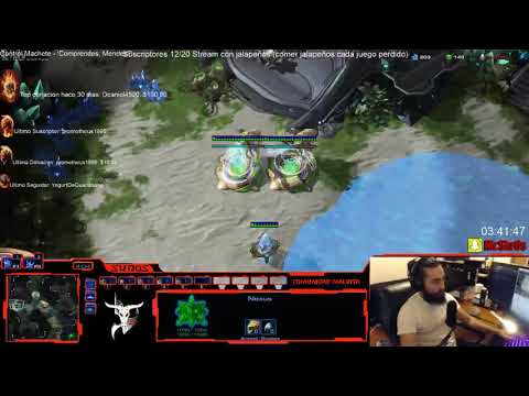 PvT Proxy 2 robo immortal all in