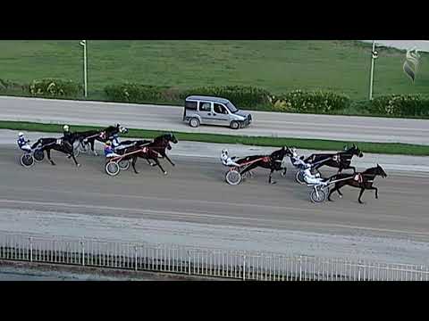 Aversa trotto 4 Novembre 2020 - 2° Corsa