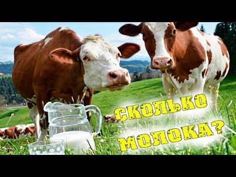 Дела текущие. Не успеваем... Сколько корова дает молока??? / Семья в деревне