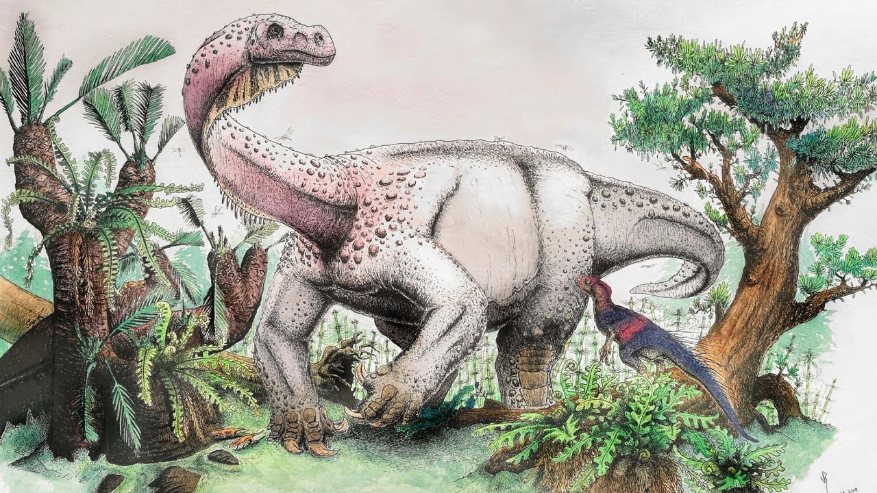  kilos y pariente del brontosaurio: descubren un nuevo dinosaurio del  Jurásico