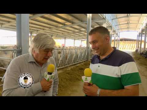 Portrait of a farmer Dimitrie Musca 27 06 2021