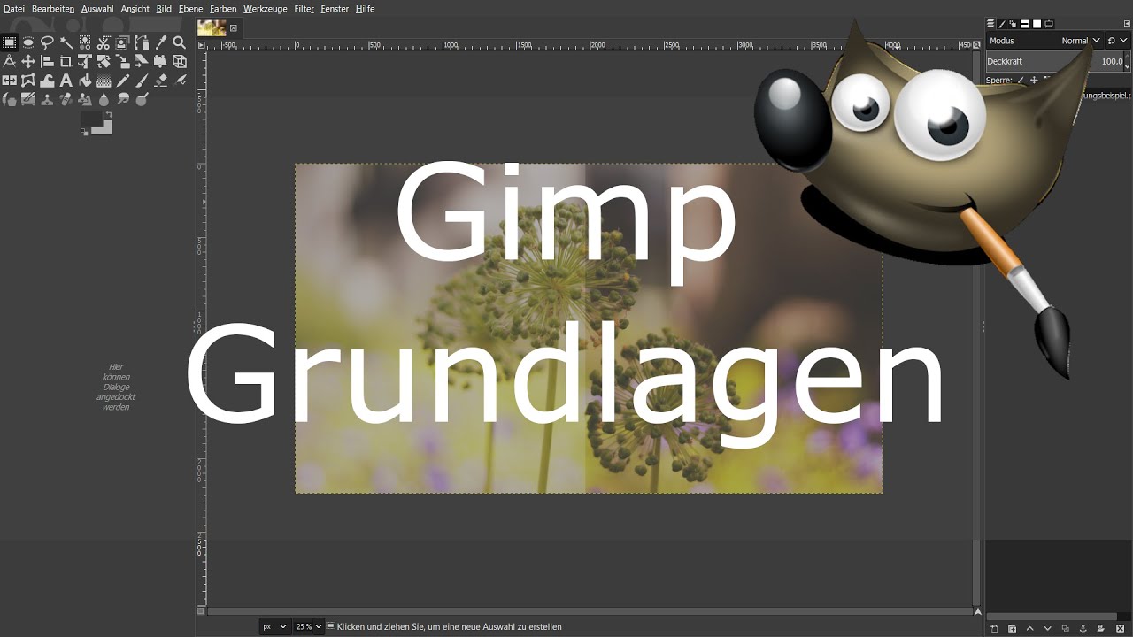GIMP 9 GIMP