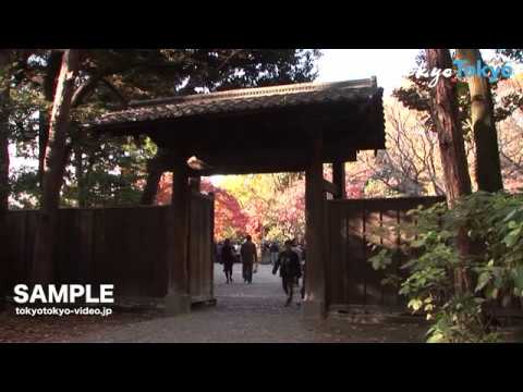 [Tokyo Footage] Autumn Leaves (Rikugien Garden) | 六義園の紅葉（Tokyo Japan）