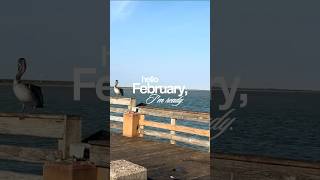 #blogger #galveston #駐在妻 #houston