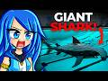 There S A GIANT SHARK In The POOL
