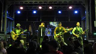 The Dickies - Free Willy/Got it at the Store. Live 2017