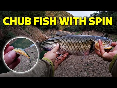 Trofe Kasna Avı | Anında Aksiyon | Rapalayı Atmamla Kefali Almam Bir Oldu