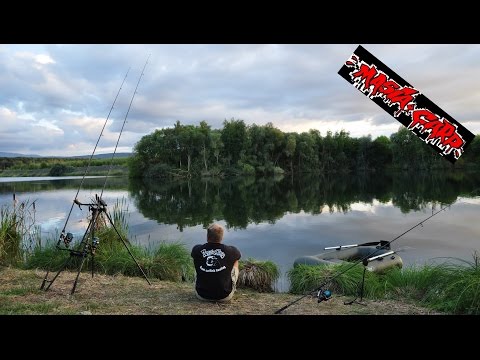 Karpfenangeln # ohne anfüttern zum Erfolg