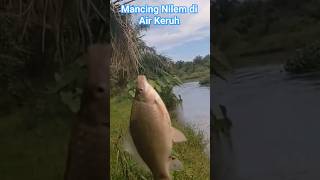 Download lagu Mancing Ikan Nilem di Air Keruh #shorts #mancingnilemdisungai mp3