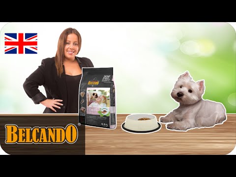 BELCANDO | dog food ingredients #4 Chia seeds